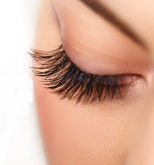 Lash Lift and Tint Cardiff Salon Lash Lift and Tint Cardiff Salon